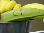 Johana's Plantains