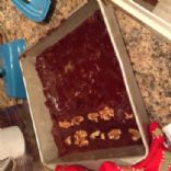 Tim Allen Fudge