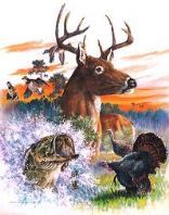 Deer Stew
