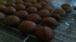 Choc orange biscuits (cookies)