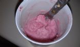 Homemade Frozen Yogurt (No ice cream maker!