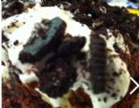 Jello Poke Cake