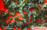 Baked Kale Chips