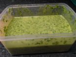 Cilantro Lime Dressing