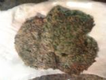 Spinach patties