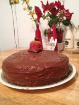 Gluten Free Basic Cake Recipe Chocolate or yellow :)